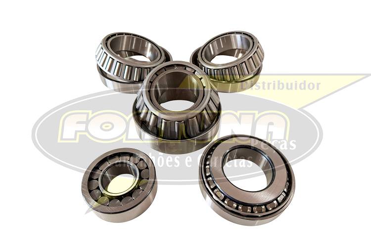 PAC. ROLAMENTOS DIFER. VOLVO EV91 - Ref: FDRK-EV91